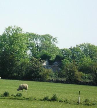 Photo of Atticorra