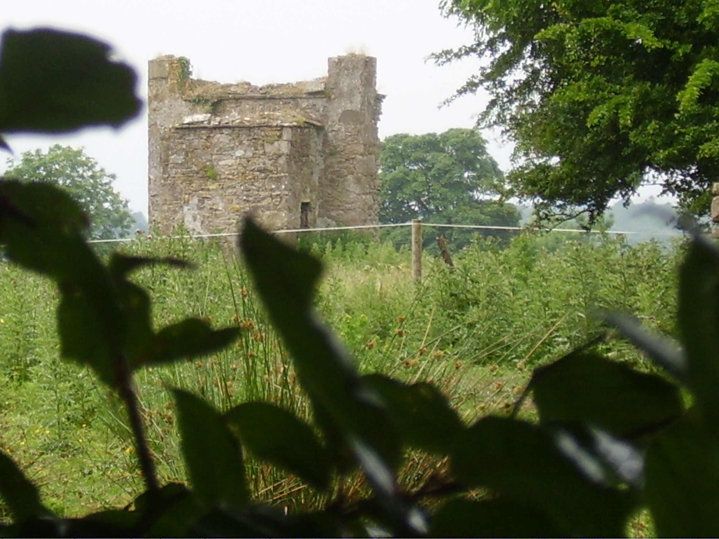 Photo of Castlemore
