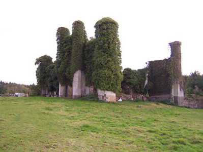 Photo of Moydrum Castle