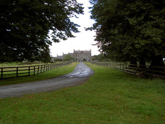 Photo of Newcastle House (Ballymahon)