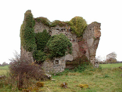 Photo of Tristernagh House
