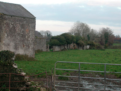 Photo of Bracca Castle/Coolalough House